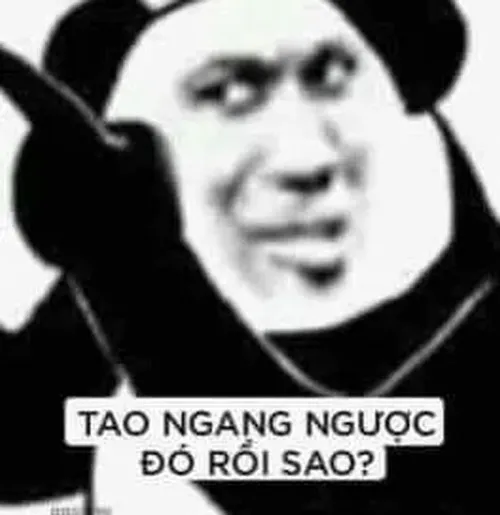 Gấu trúc cười nhếch ngang ngược khi được hỏi ý kiến khó.