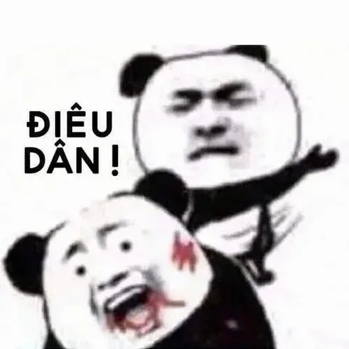 Gấu trúc cứng đầu nghiêng đầu nhẹ như muốn phản bác ai đó.