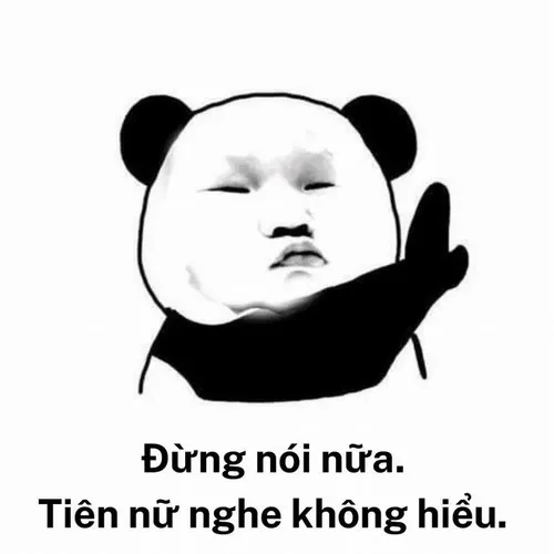 Gấu trúc ngang tàng dựa vào thân tre, thần thái rất quyết đoán.