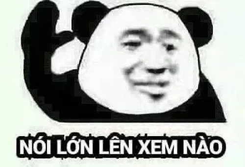 Gấu trúc nhìn thẳng ngang ngược trong ánh sáng nhẹ ngoài rừng.