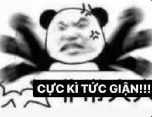 Meme gấu trúc tức giận mím môi căng, lông mặt dựng nhẹ.