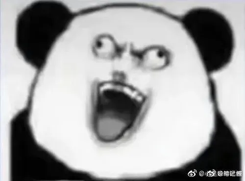 Meme gấu trúc tức giận hất đầu lên tạo cảm giác thách thức.