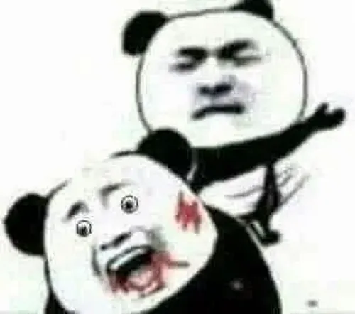 Meme gấu trúc tức giận chống hai tay xuống đất đầy căng thẳng.