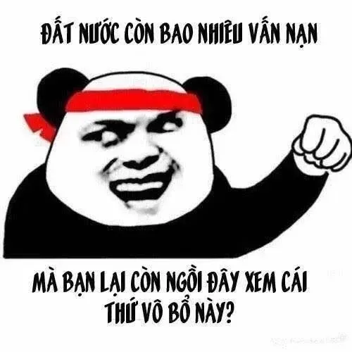 Meme gấu trúc tức giận cau mày dữ dội và gồng vai rõ rệt.
