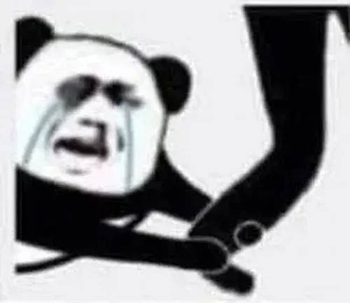 Meme gấu trúc níu chân xin lỗi cúi đầu nhẹ với ánh mắt ngại ngùng.