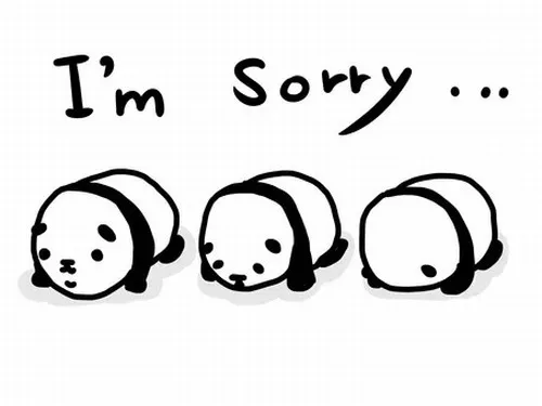 Ảnh troll gấu trúc xin lỗi mắt long lanh như chờ tha thứ.