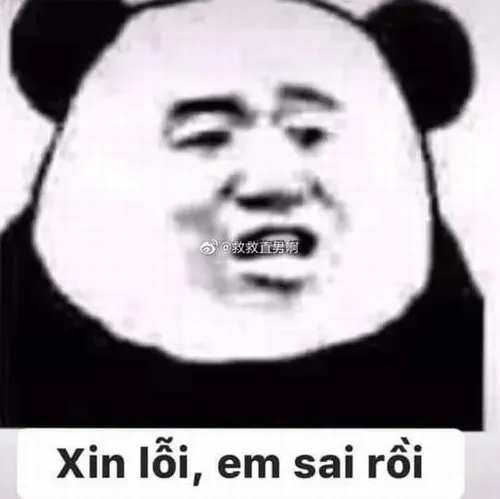 Meme gấu trúc xin lỗi nép người vào thân tre như tránh ánh nhìn.