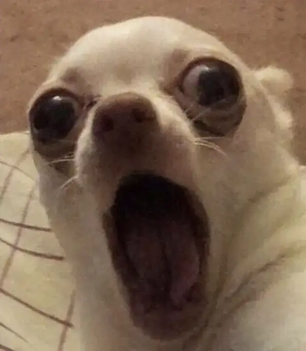 Meme há mồm run rẩy, dáng người bối rối cực nhây