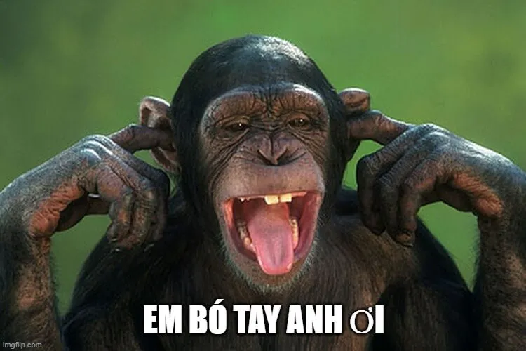 Biểu cảm thẫn thờ, chẳng còn gì để cứu vãn nữa.