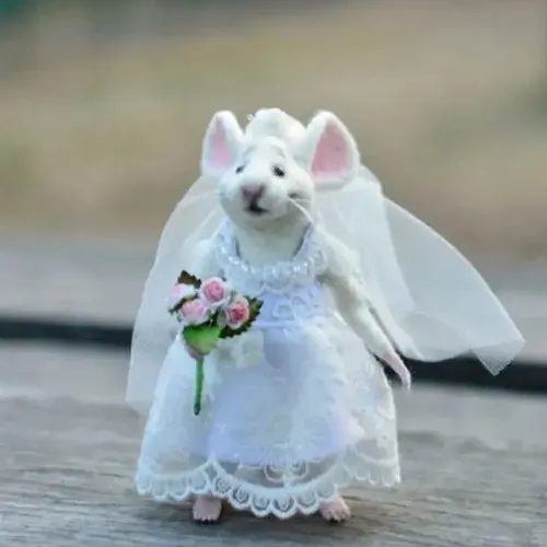 Hình troll bé nâu nói sự đối lập qua thân váy phồng