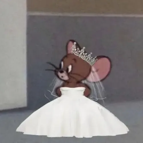 Meme hài Jerry mô tả biểu cảm ngơ khi đứng trước chú rể