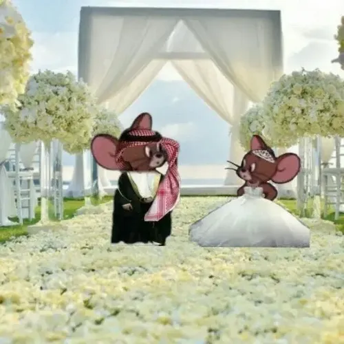 Jerry mặc váy cưới giữa sân khấu và biểu cảm bất ngờ tạo hiệu ứng lan truyền