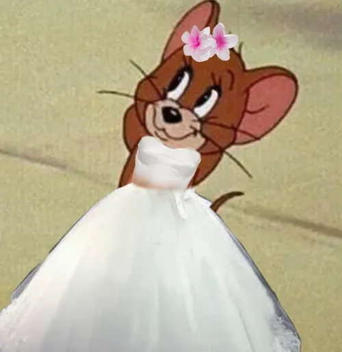 23 ảnh Meme Jerry Mặc Váy Cưới lầy lội vô tri biểu cảm siêu ngượng ngùng