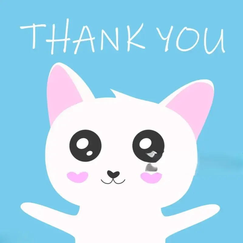 Hình ảnh mèo dễ thương, biểu lộ sự cảm kích.