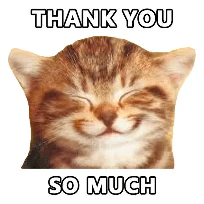 Mèo con cảm ơn, nụ cười siêu đáng yêu.