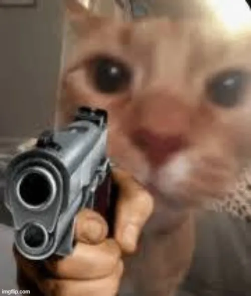 Meme chế mèo chỉa súng với caption “đứng yên”