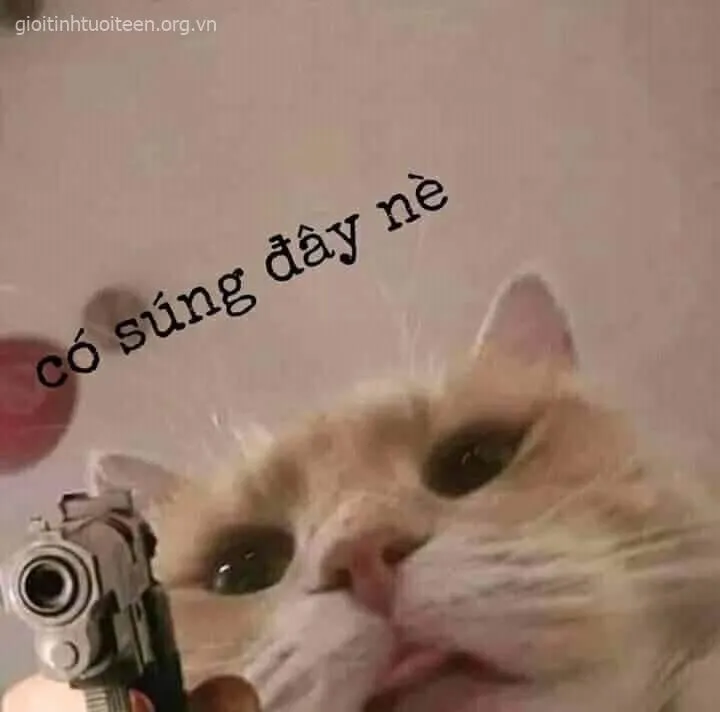 Meme hài ánh mắt trừng khiến dân chế cười bể