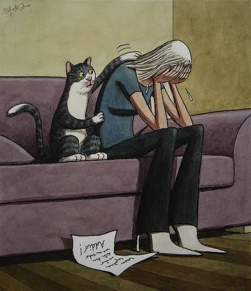 Meme mèo vỗ về an ủi chủ nhân