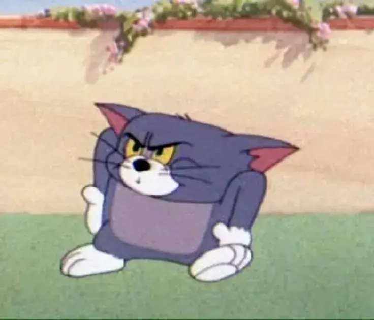 Meme mèo Tom biểu cảm đờ đẫn nhưng đáng yêu
