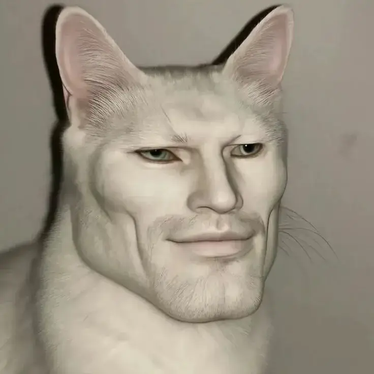 Hình chế mèo triết lý khiến người xem vừa cười vừa nghĩ