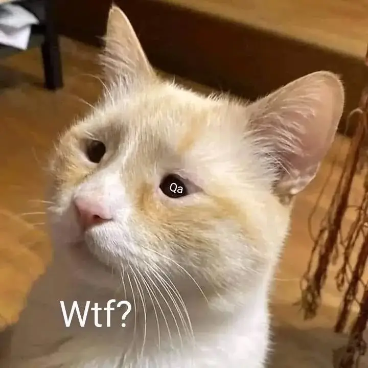 Biểu cảm mèo khó hiểu, vô tri