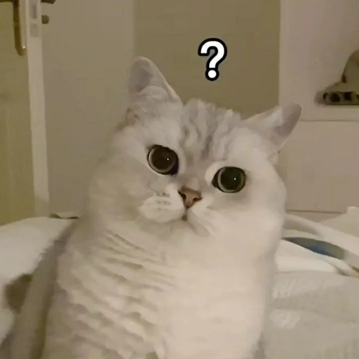 Meme chế nét mặt hoang mang kiểu mất kết nối não