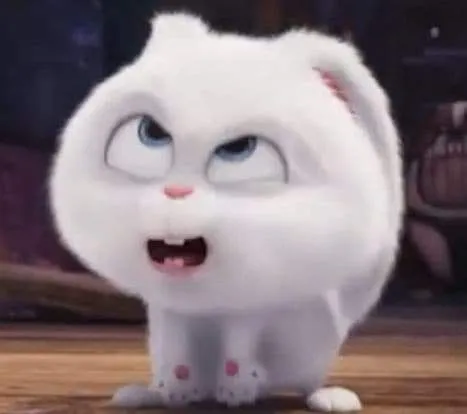 Hình vui biểu cảm ngây thơ xen chút lạc lõng