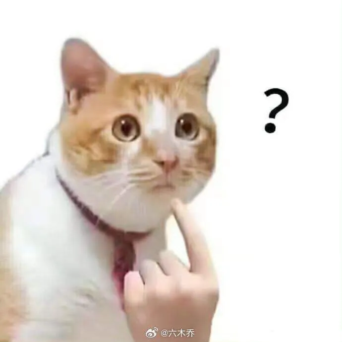 60+ Meme Ngơ Ngác biểu cảm chấm hỏi siêu thật cho những khoảnh khắc không hiểu gì