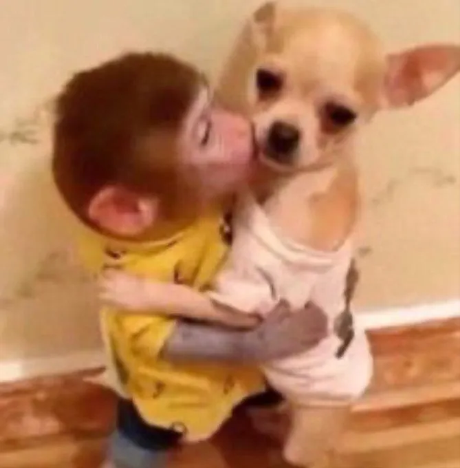 Chó và khỉ ôm nhau hạnh phúc trọn vẹn