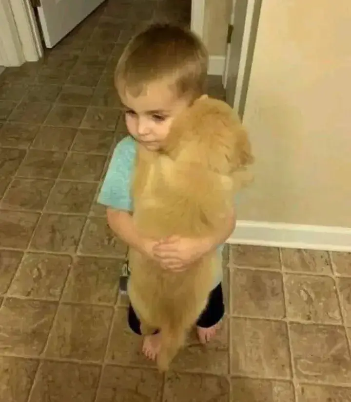 Vòng tay thân thương giúp xua đi cảm giác trống trải.