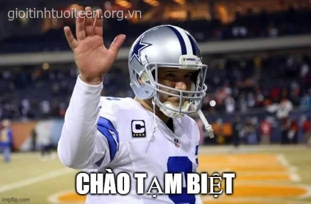 Meme cáo từ ánh mắt thất thần, gương mặt bàng hoàng