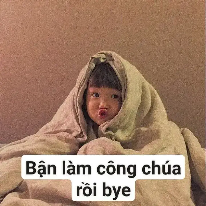 Meme em bé tạm biệt đầy cảm xúc giữa bạn thân và ánh hoàng hôn cuối.