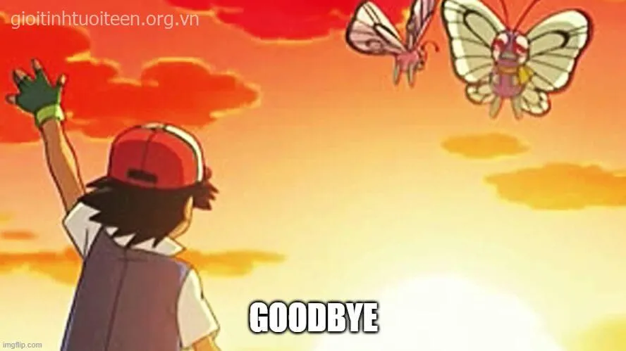 Meme tạm biệt Sài Gòn với nắng vàng và những buổi chiều nhớ mãi.