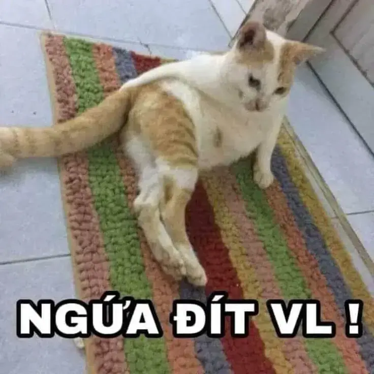 Biểu cảm giận dỗi trông siêu đáng yêu.