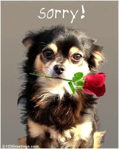 Meme hài xin lỗi đồng nghiệp vì gửi nhầm file, biểu cảm lúng túng cực thật