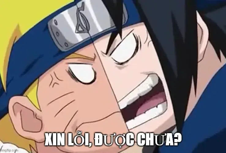 Meme chế xin lỗi mẹ vì quên rửa chén, biểu cảm mèo cúi đầu ngộ nghĩnh