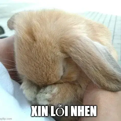 Ảnh troll gửi crush khi lỡ nhắn tin nhầm, ngại mà vẫn muốn nói lời xin lỗi