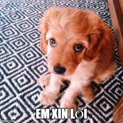 Meme hài gửi người yêu cũ pha chút tiếc nuối khiến ai xem cũng lặng