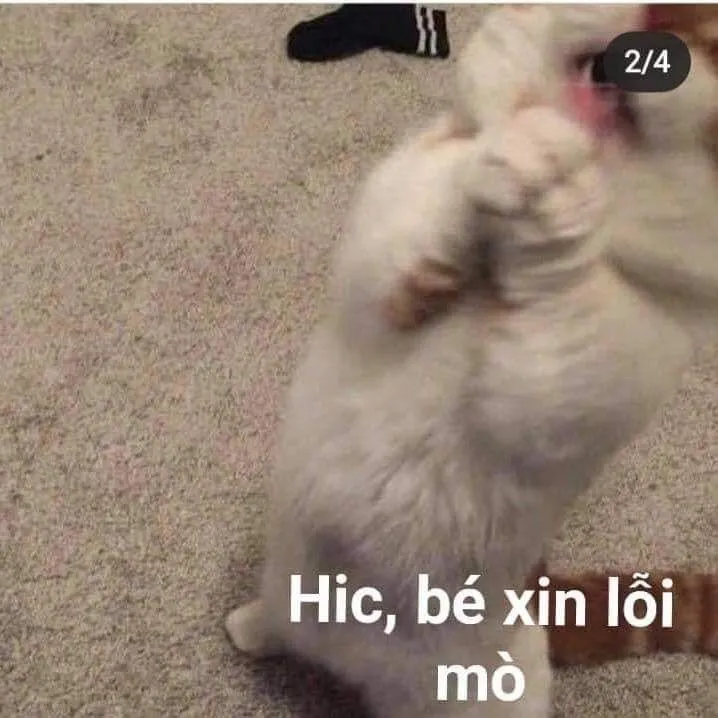 Hình chế meme vui giúp nói lời xin lỗi mà không gượng