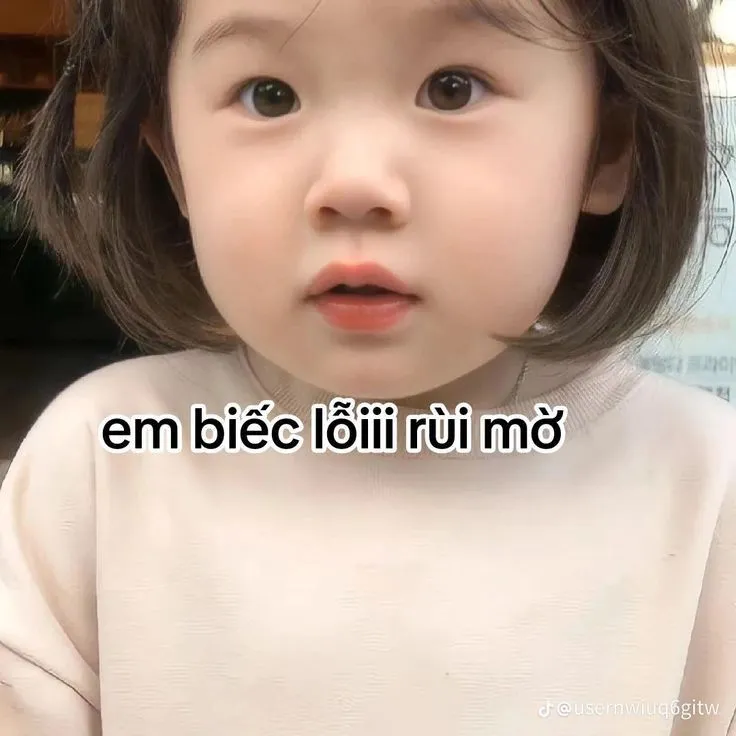 Meme dễ thương kèm caption xin lỗi khiến người yêu cười