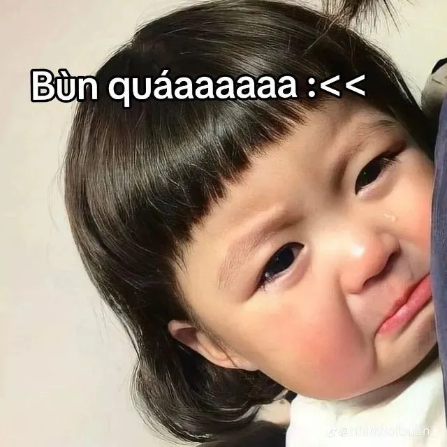 Meme dễ thương kết hợp caption dỗ dành người yêu tinh tế