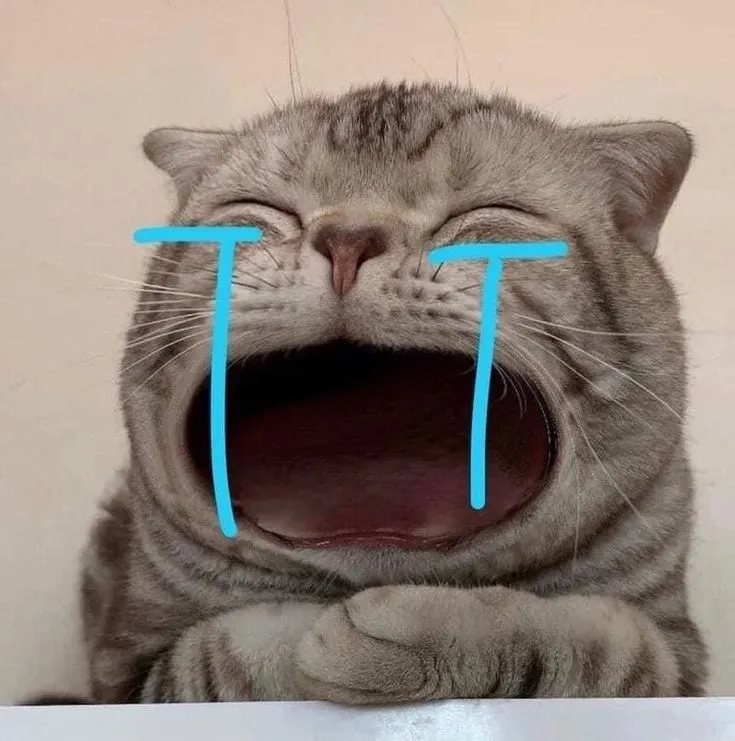 Meme xin lỗi lầy lội khiến người yêu vừa cười vừa cảm động