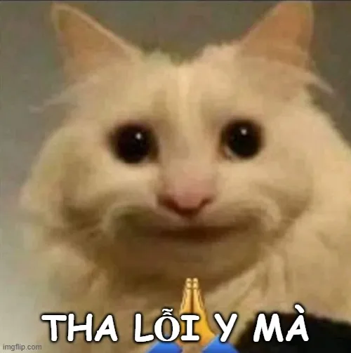 Ảnh vui gửi người yêu sau khi lỡ lời làm họ tổn thương