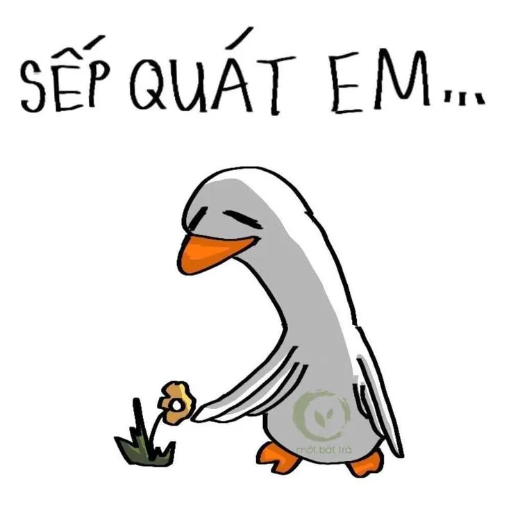 Ảnh chế bựa khiến dân mạng thả tim liên tục