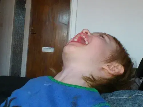 Meme nằm cười khiến dân mạng ngã nghiêng vì vui quá độ