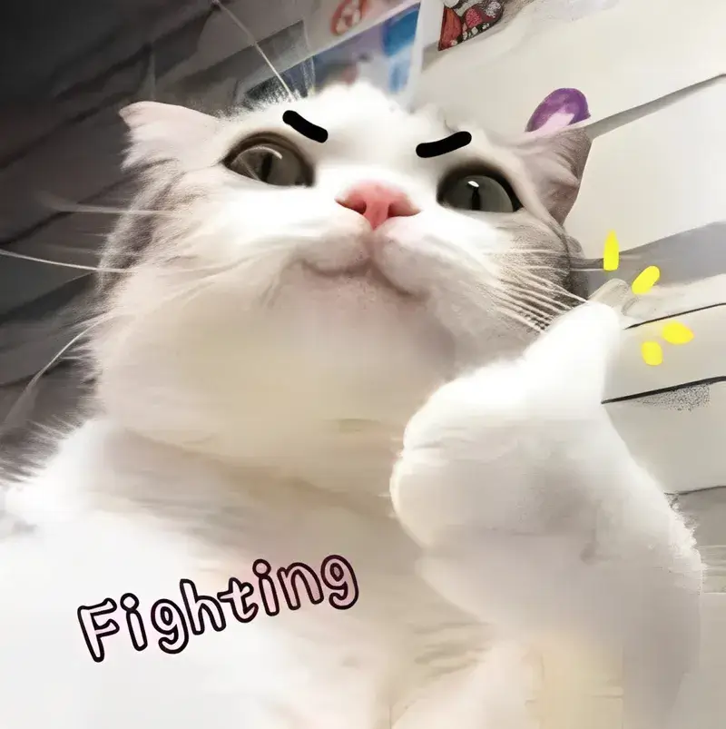 Meme mèo fighting cổ vũ bạn nỗ lực