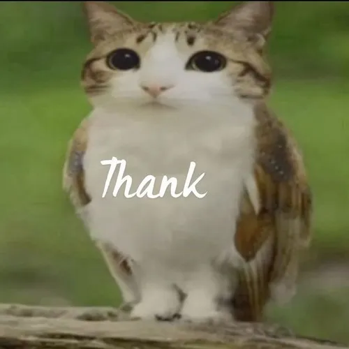 Khoảnh khắc cảm ơn vui nhộn nhưng vẫn đầy chân thành