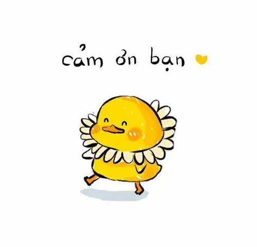 Khi hài hước và cảm động gặp nhau trong một bức ảnh cảm ơn