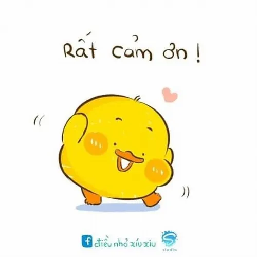 80 ảnh Cảm Ơn Meme vừa hài hước vừa duyên dáng cho lòng biết ơn chân thành