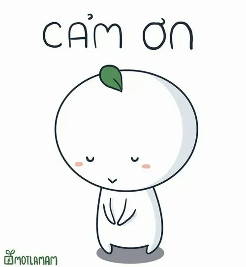 Hình chế cảm ơn lan tỏa năng lượng tích cực mỗi ngày